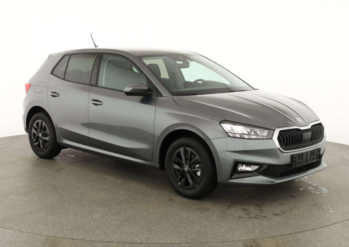 Fahrzeugbild eines Skoda Fabia