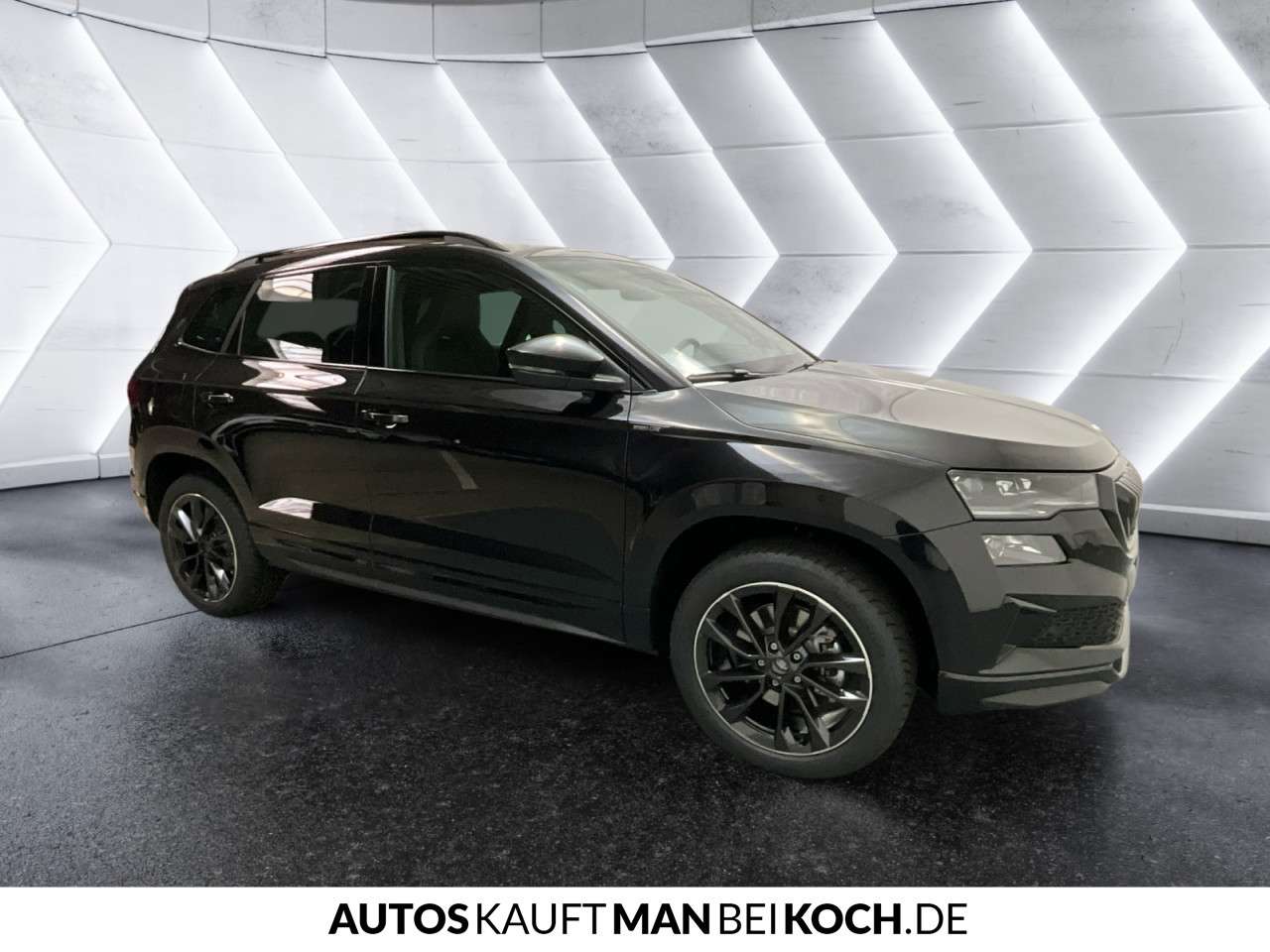 Fahrzeugbild eines Skoda Karoq