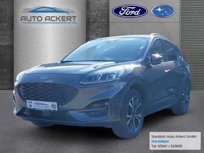 Bild Ford Kuga