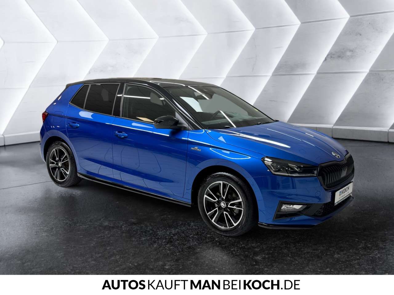 Fahrzeugbild eines Skoda Fabia