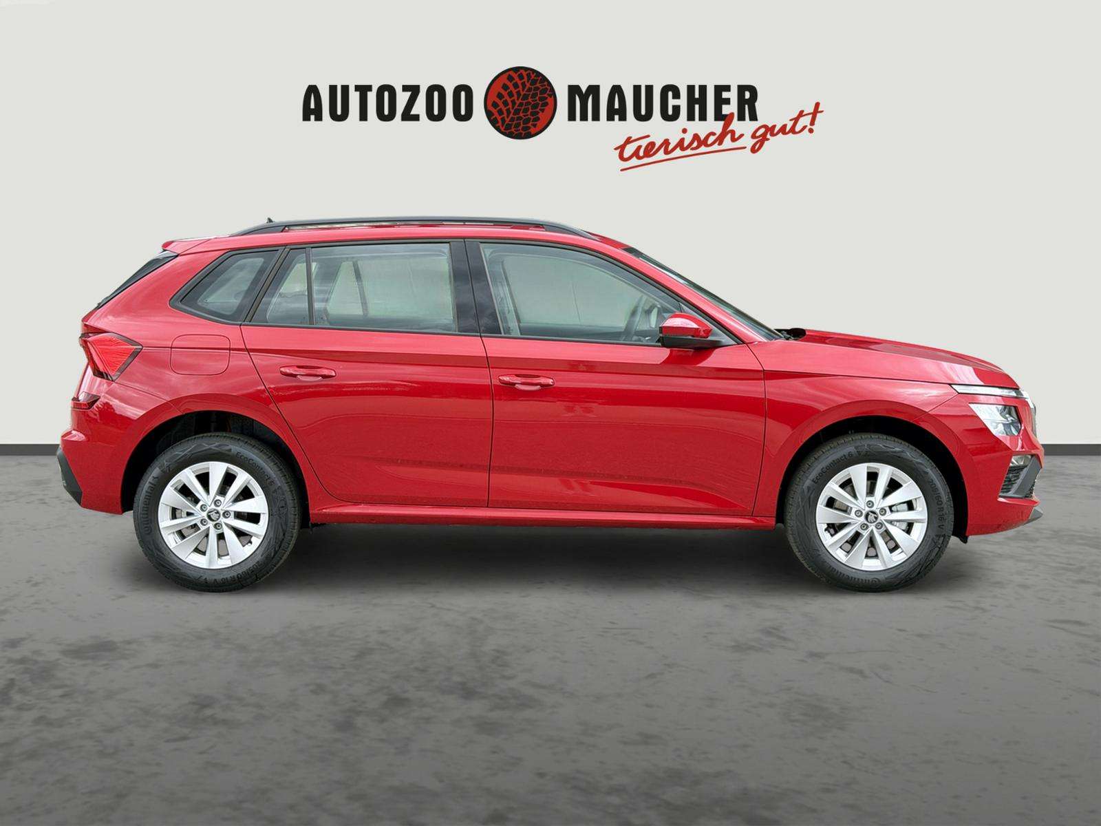 Fahrzeugbild eines Skoda Kamiq