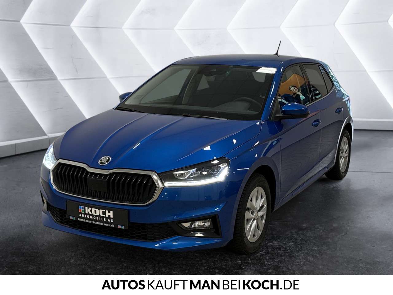 Fahrzeugbild eines Skoda Fabia