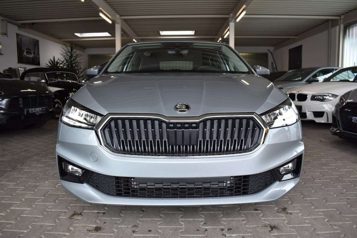 Fahrzeugbild eines Skoda Fabia