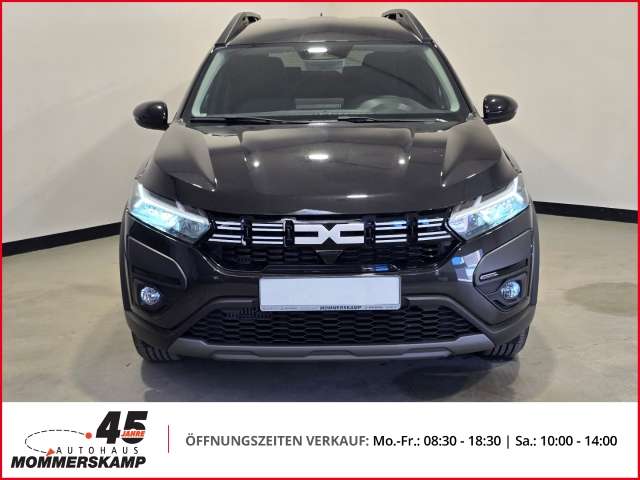 Fahrzeugbild eines Dacia Jogger