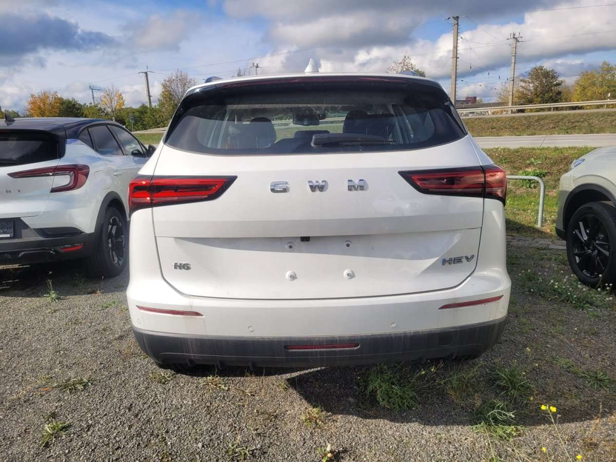Fahrzeugbild eines GWM Haval H6