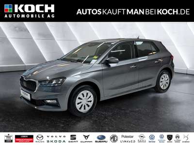 Bild Skoda Fabia