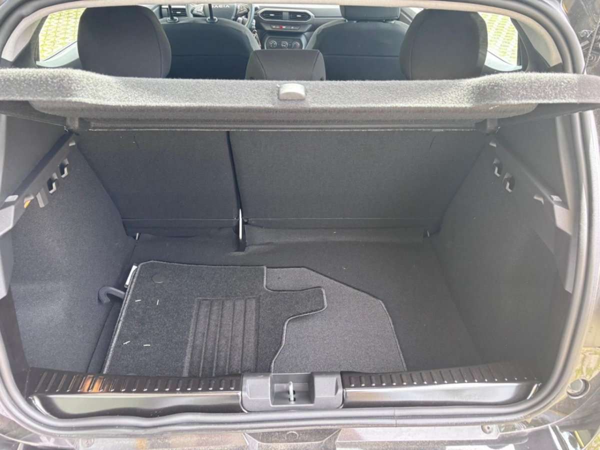 Fahrzeugbild eines Dacia Sandero