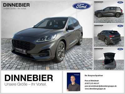 Bild Ford Kuga