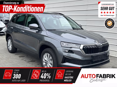 Bild Skoda Karoq
