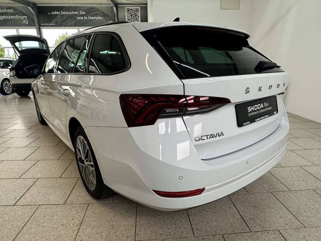 Fahrzeugbild eines Skoda Octavia