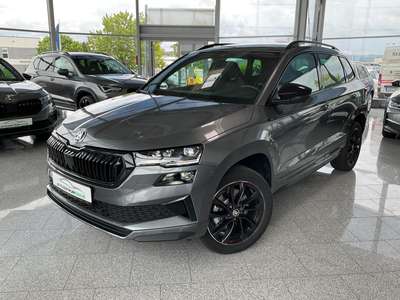 Bild Skoda Karoq