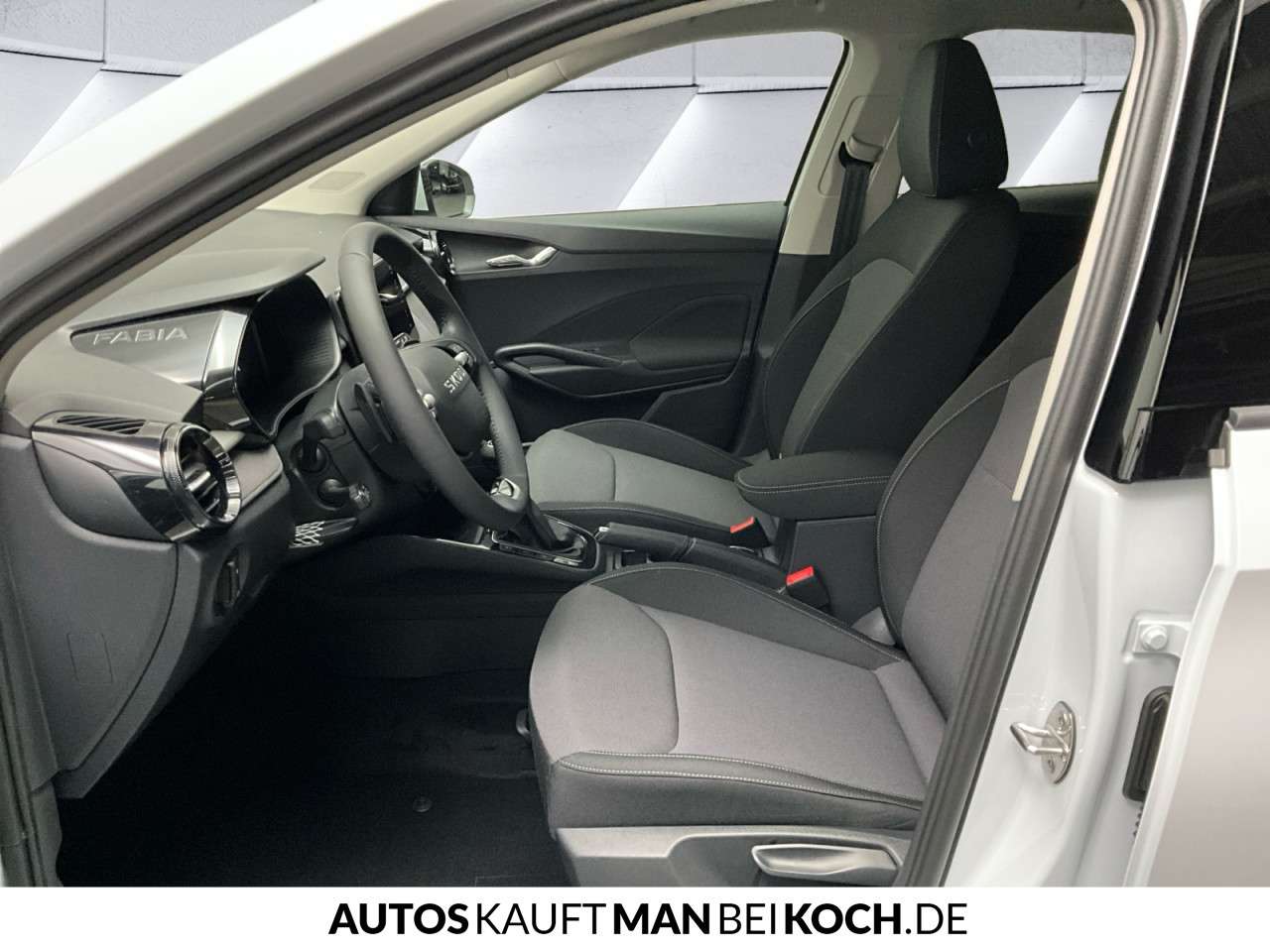 Fahrzeugbild eines Skoda Fabia