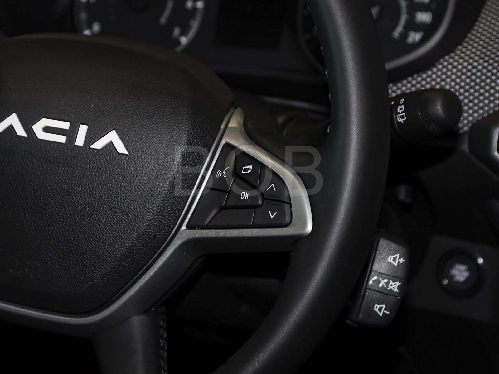 Fahrzeugbild eines Dacia Sandero