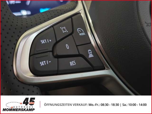 Fahrzeugbild eines Mitsubishi Grandis