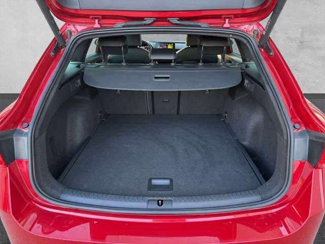 Fahrzeugbild eines SEAT Leon