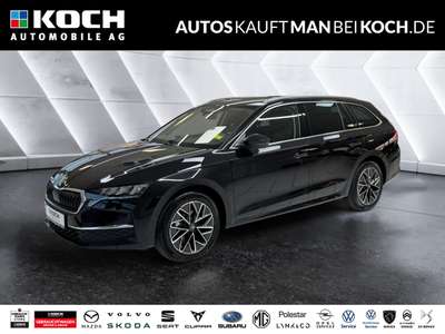 Bild Skoda Octavia
