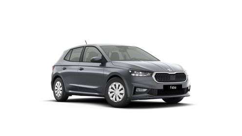 Fahrzeugbild eines Skoda Fabia