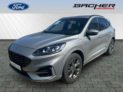 Bild Ford Kuga