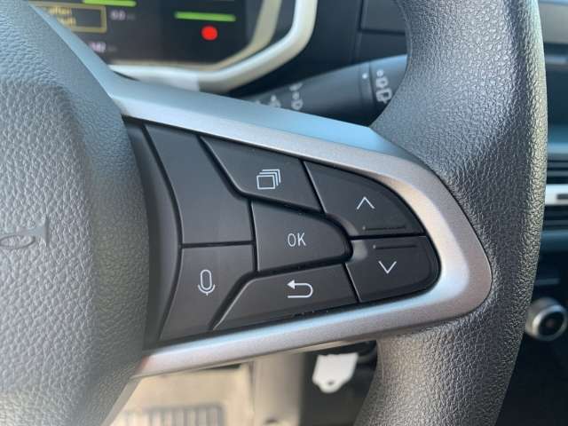 Fahrzeugbild eines Dacia Spring