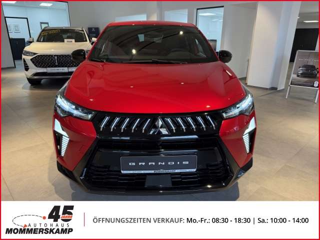 Fahrzeugbild eines Mitsubishi Grandis