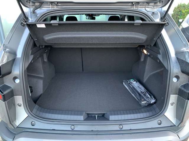 Fahrzeugbild eines Dacia Duster