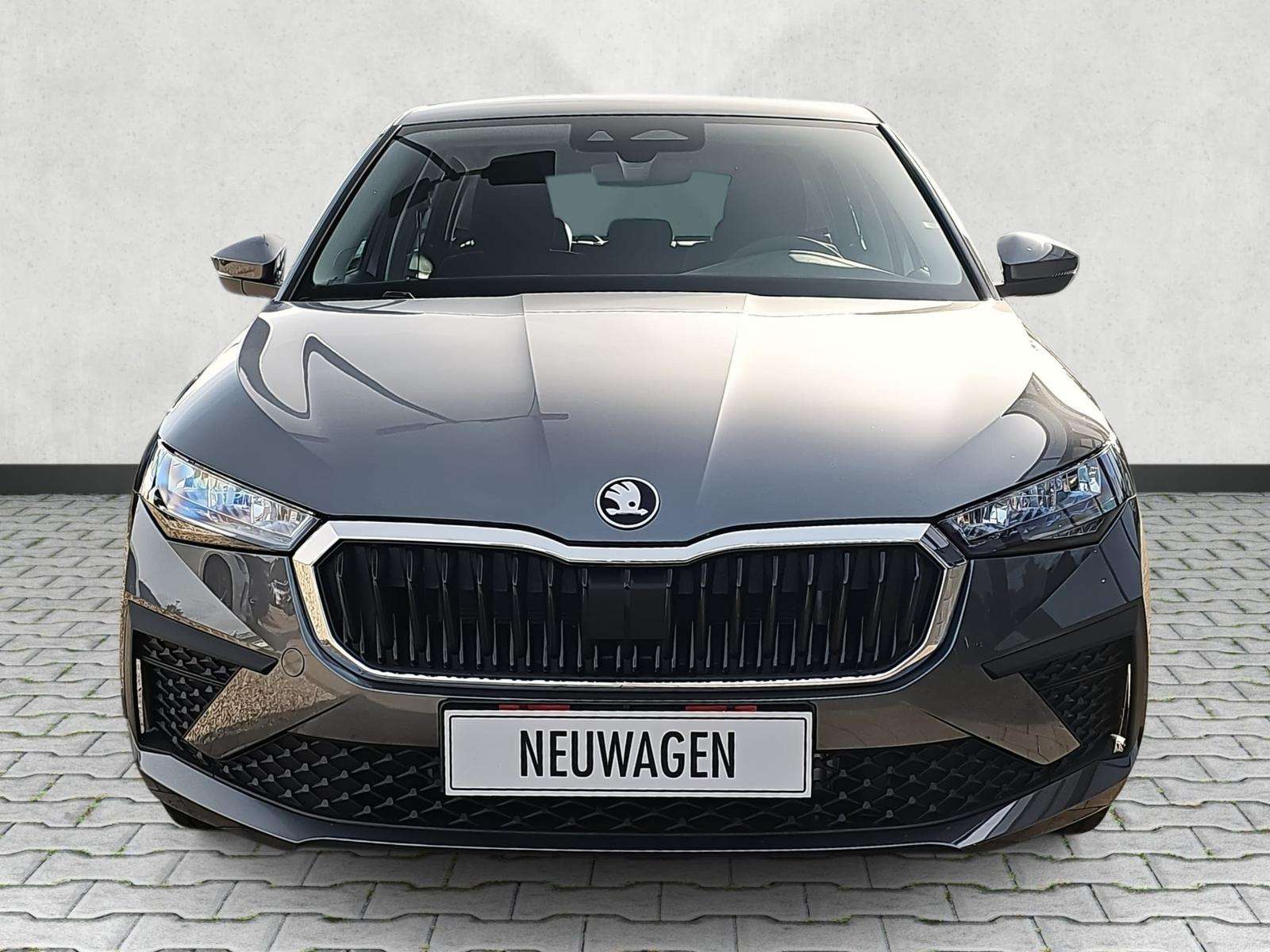 Fahrzeugbild eines Skoda Scala