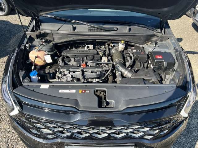Fahrzeugbild eines Kia Sportage