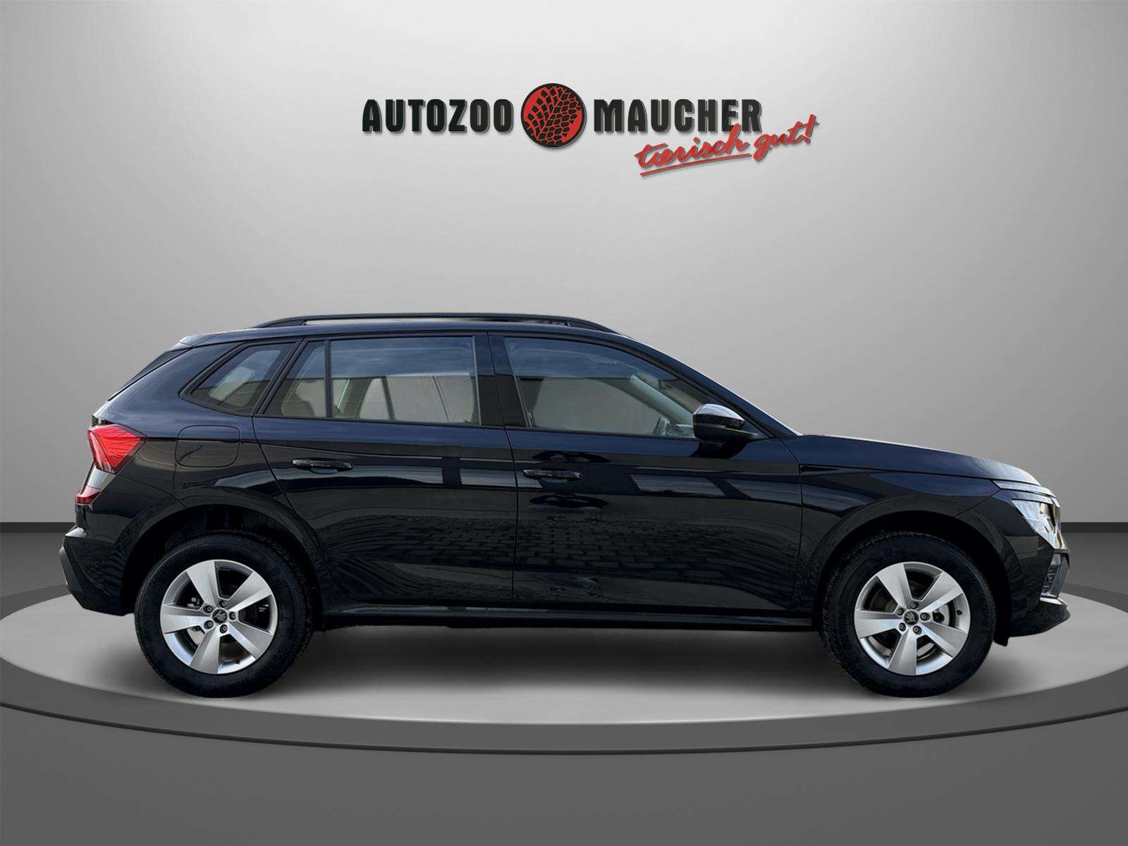 Fahrzeugbild eines Skoda Kamiq