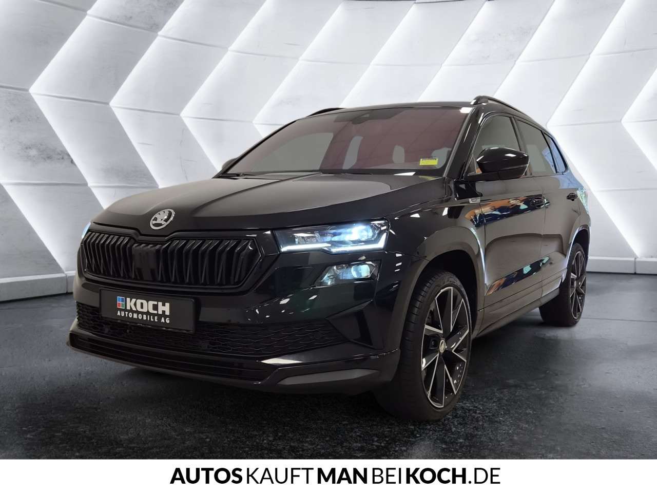 Fahrzeugbild eines Skoda Karoq