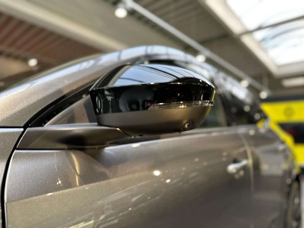 Fahrzeugbild eines Renault Rafale