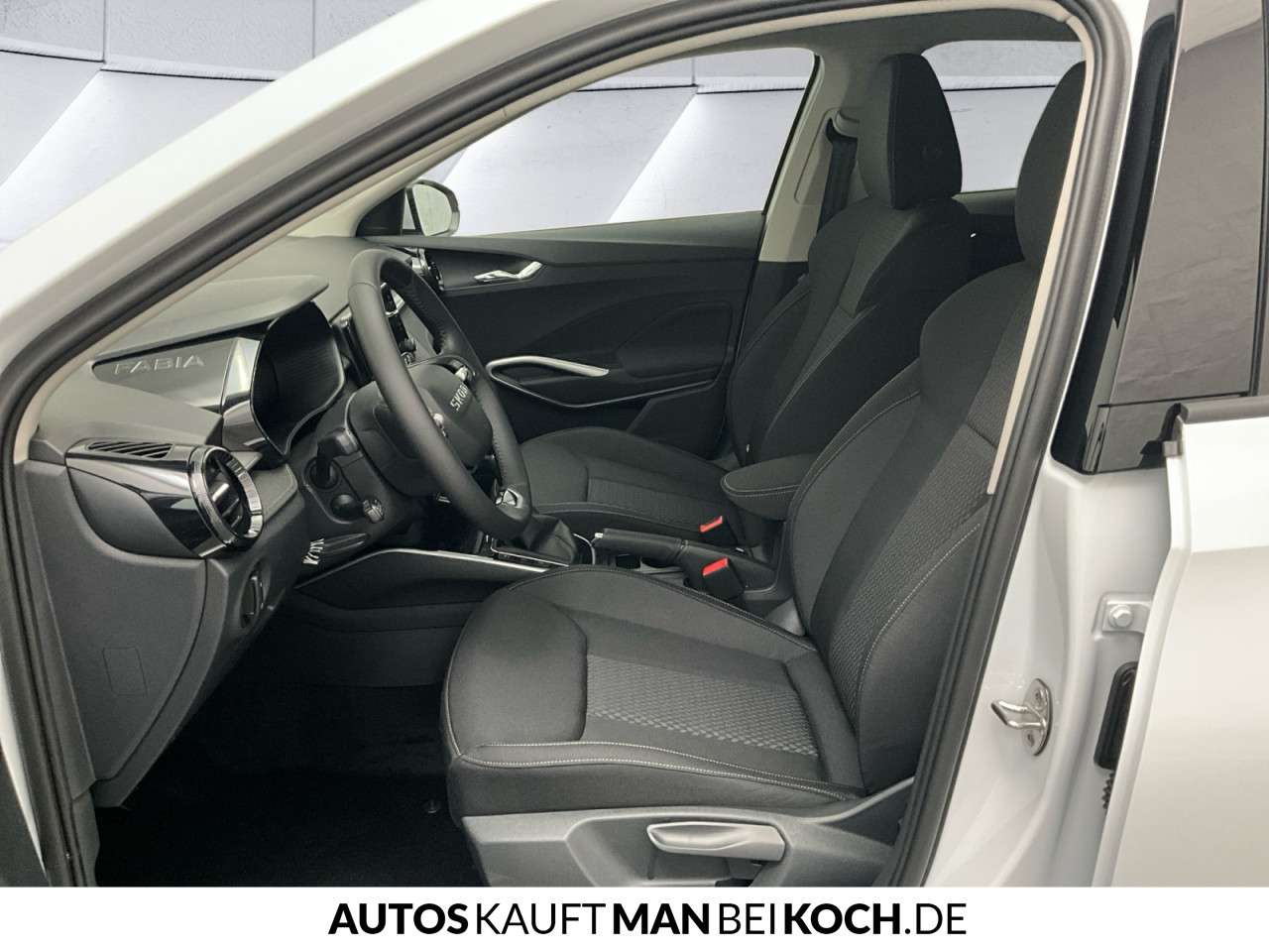 Fahrzeugbild eines Skoda Fabia