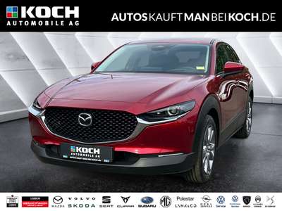 Bild Mazda CX-30