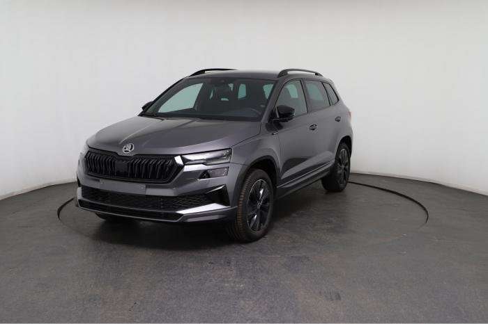 Fahrzeugbild eines Skoda Karoq