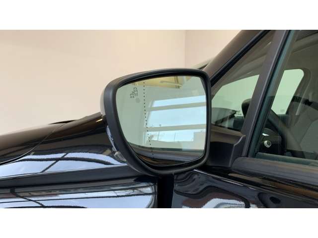 Fahrzeugbild eines Renault ZOE