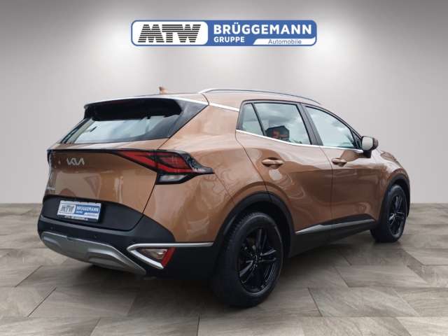 Fahrzeugbild eines Kia Sportage