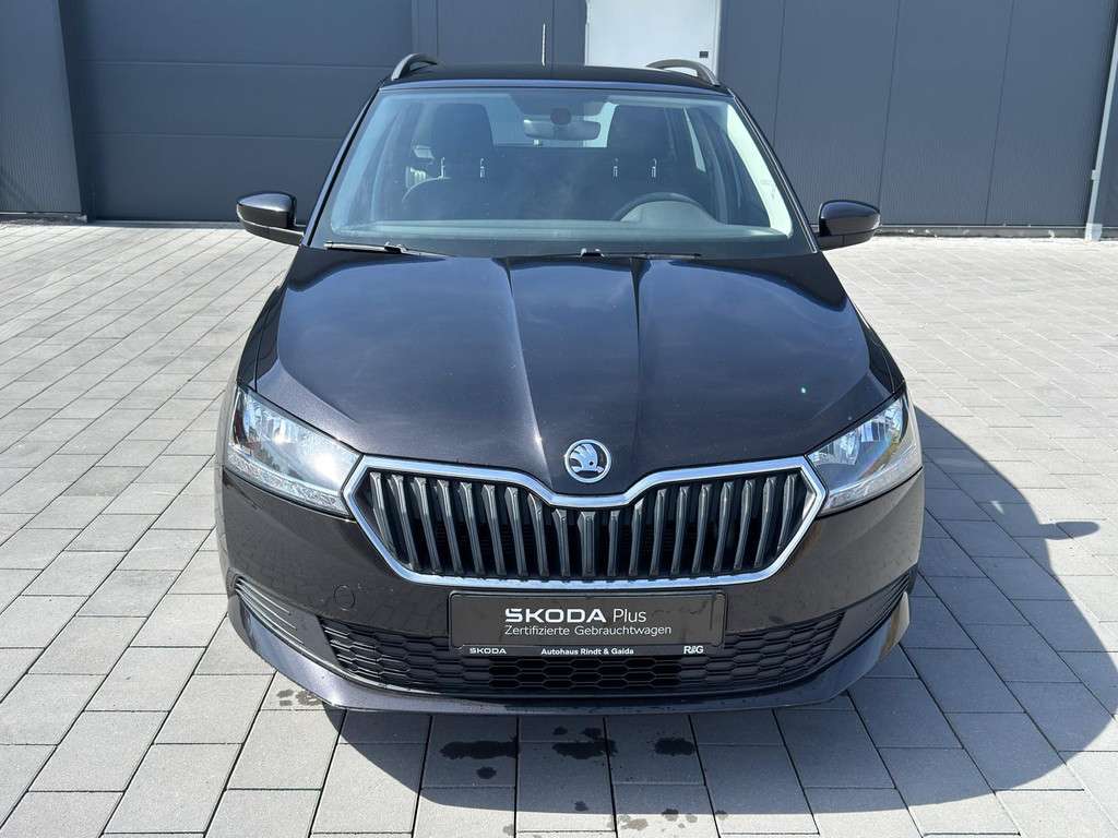 Fahrzeugbild eines Skoda Fabia