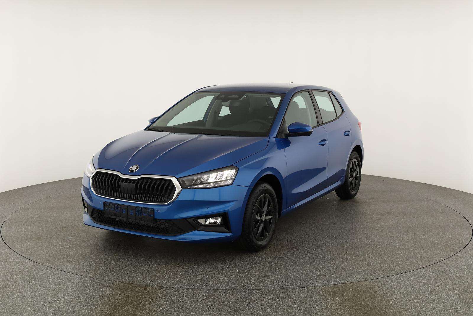 Fahrzeugbild eines Skoda Fabia