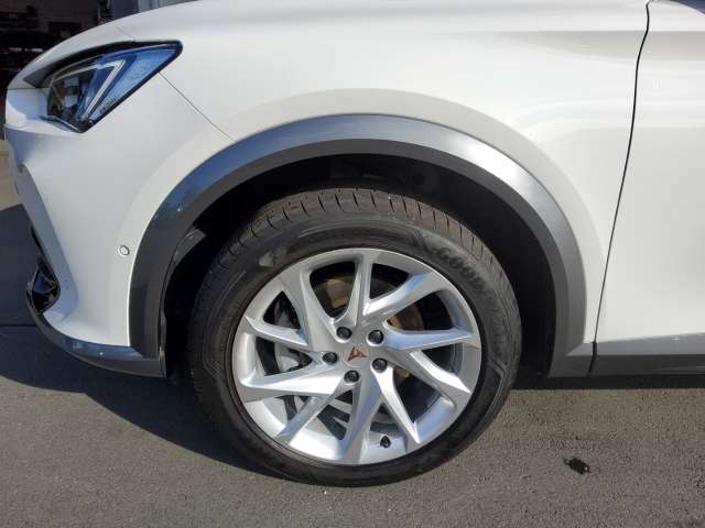 Fahrzeugbild eines CUPRA Formentor