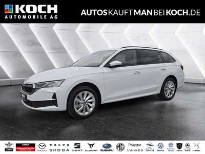 Bild Skoda Octavia