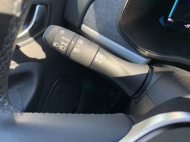 Fahrzeugbild eines Renault ZOE