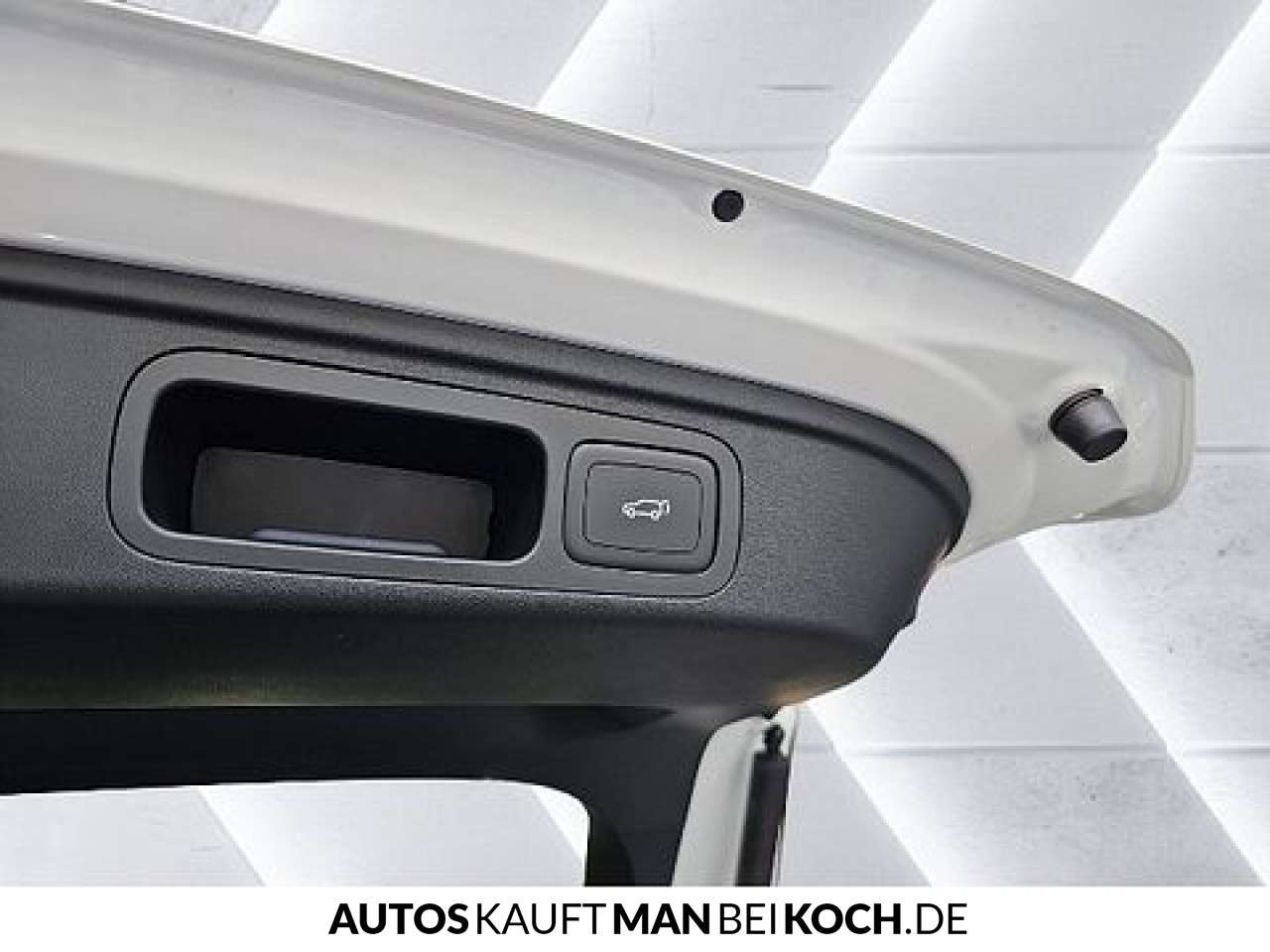 Fahrzeugbild eines MG HS