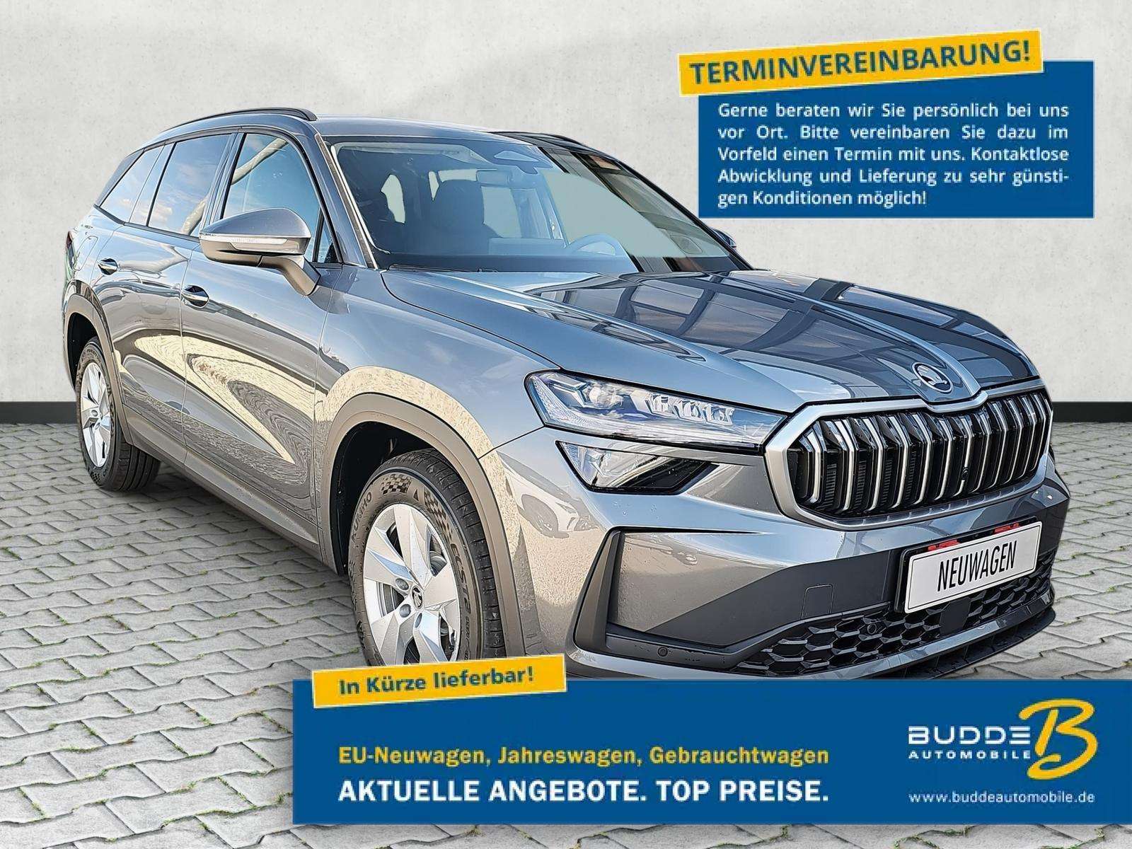 Fahrzeugbild eines Skoda Kodiaq