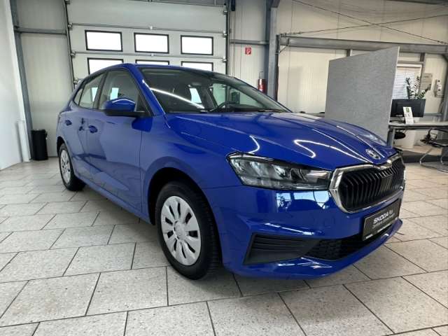 Fahrzeugbild eines Skoda Fabia