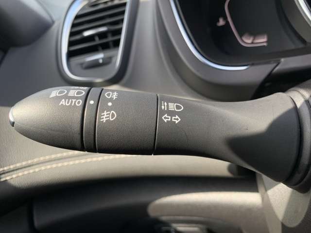 Fahrzeugbild eines Renault Grand Scénic
