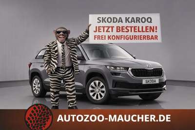 Bild Skoda Karoq