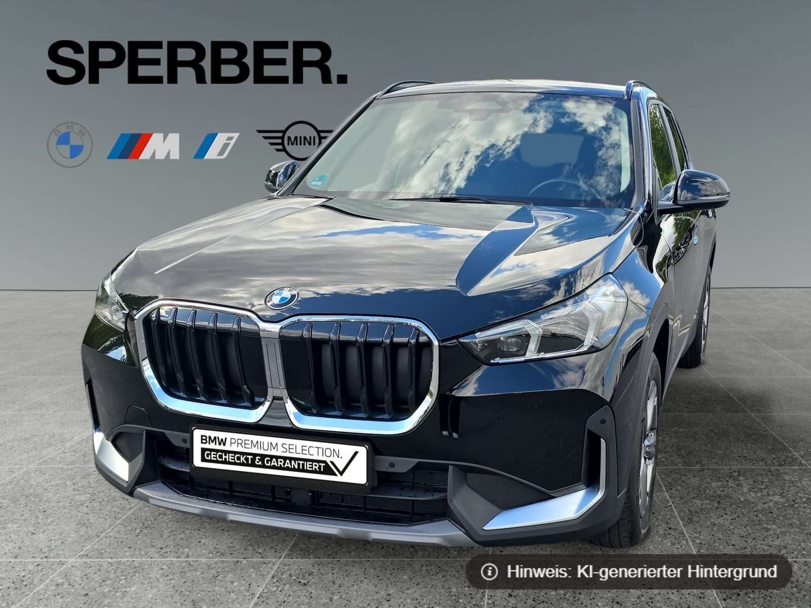 Fahrzeugbild eines BMW X1