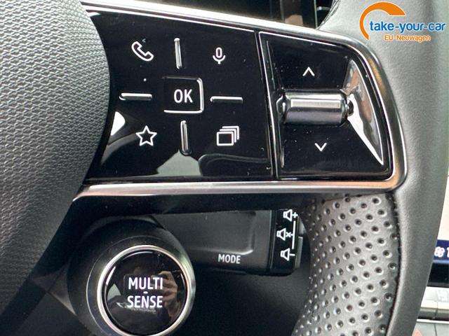 Fahrzeugbild eines Renault Austral