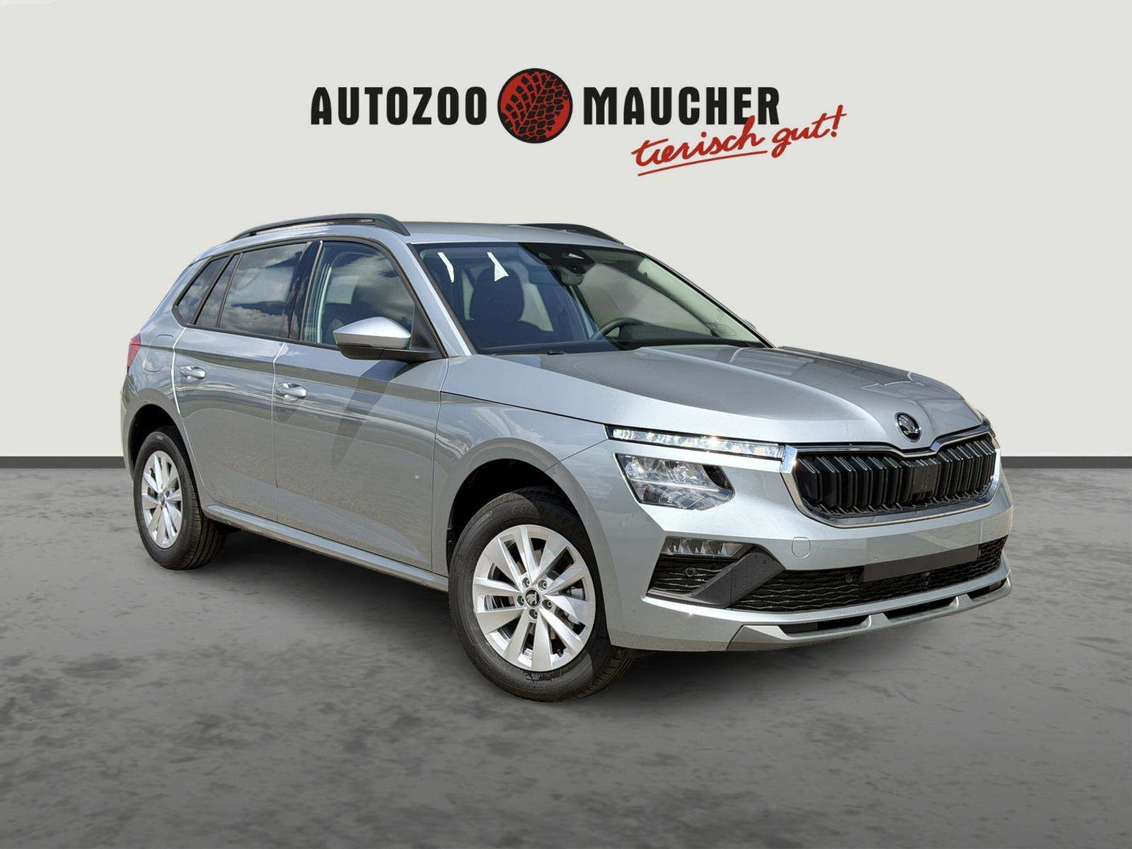 Fahrzeugbild eines Skoda Kamiq