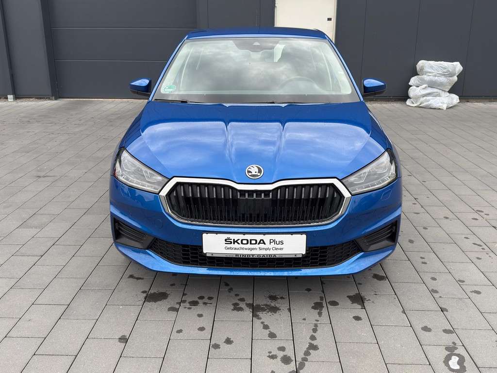 Fahrzeugbild eines Skoda Fabia