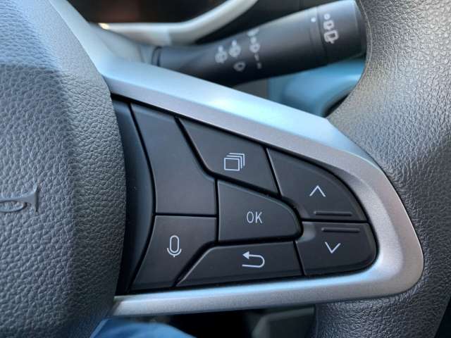 Fahrzeugbild eines Dacia Spring